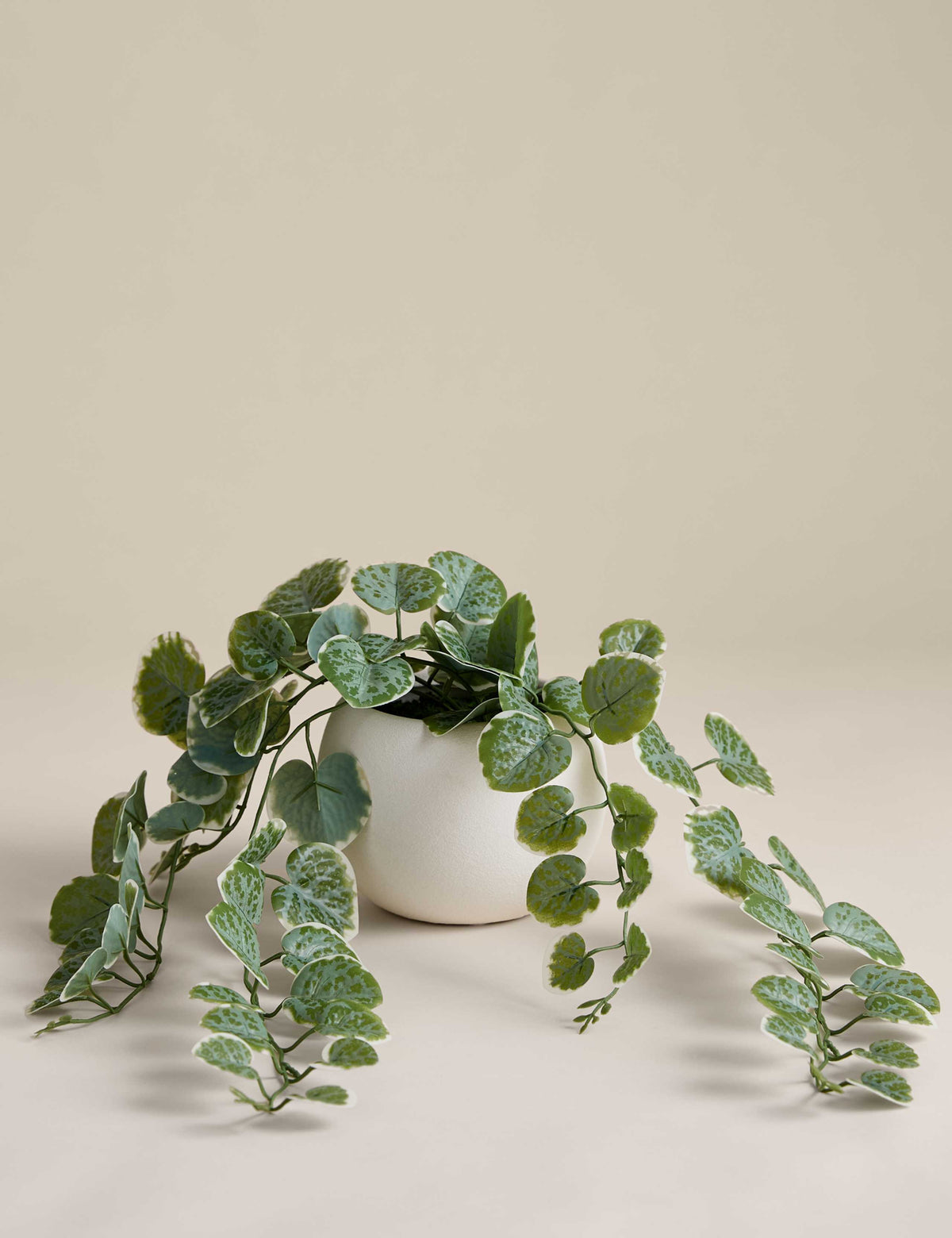 Artificial trailing eucalyptus plant in white ceramic pot 16 cm height, imported from the UK
