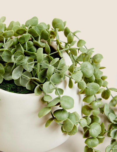 نبات الخنفساء المتدلي الصناعي من Moss & Sweetpea نبات منزلي صناعي بطول 36 سم