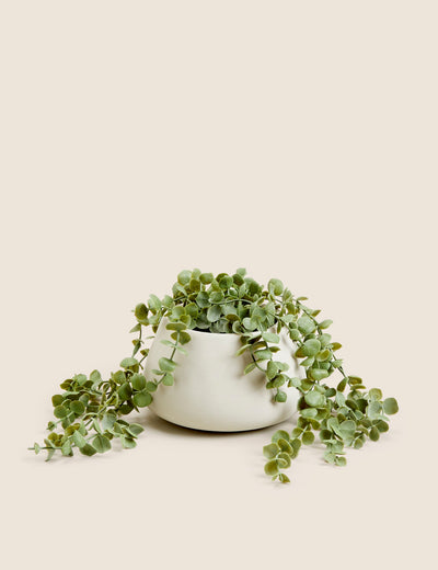 M&S Moss & Sweetpea Artificial Trailing String of Hearts Plant Artificial Houseplant 36cm- Buy online at McGrocer