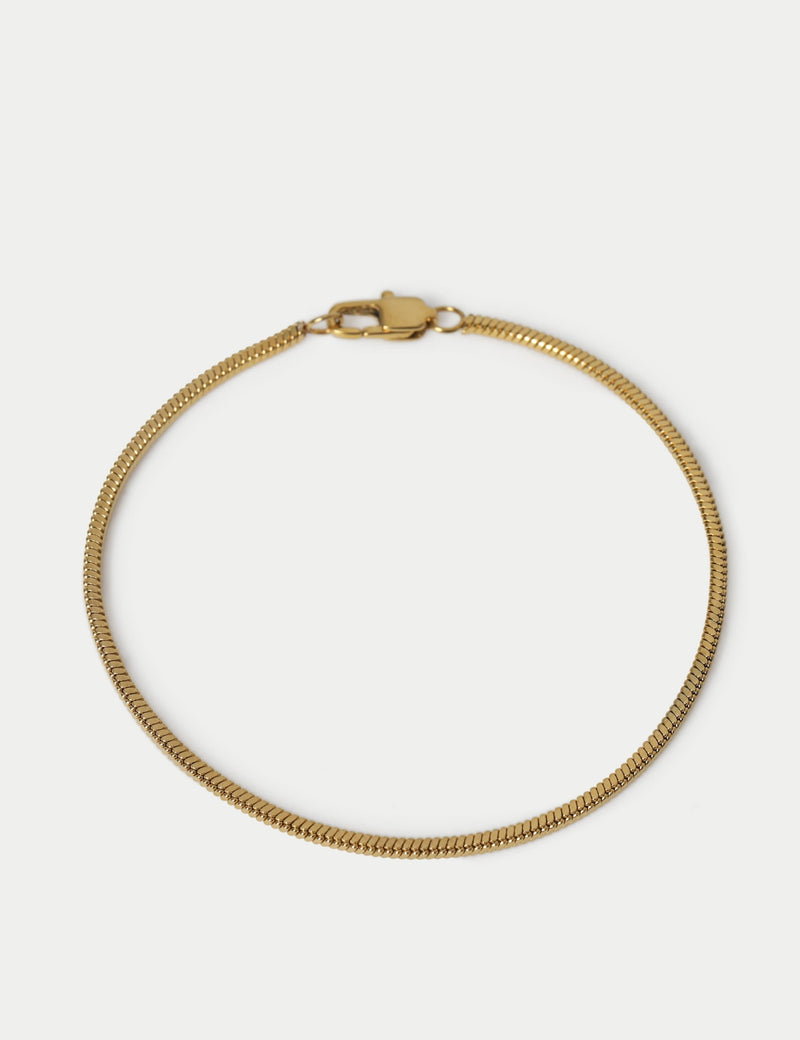 Autograph Auto Snake Chain Bracelet (British brand)