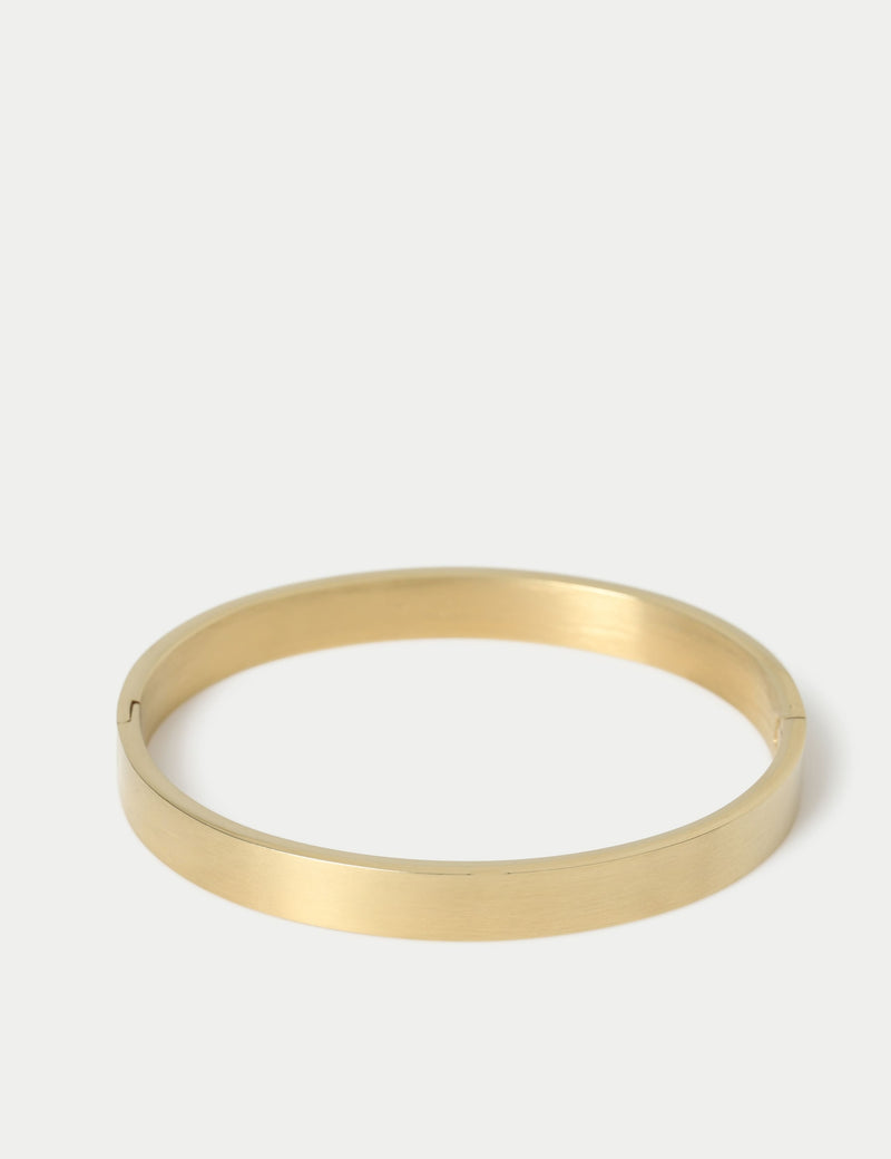 Auto stainless steel bangle jewelry - British product