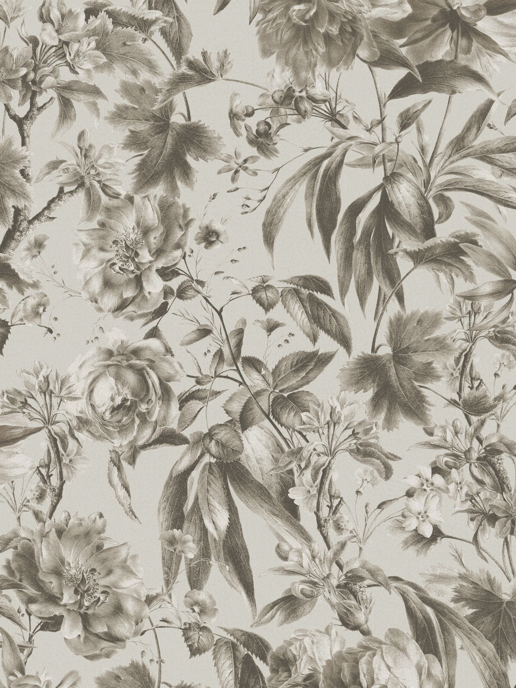 Graham & Brown Arcane Garden grey wallpaper - British product