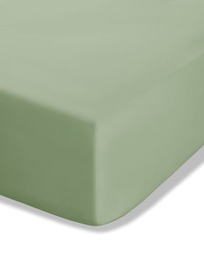 Catherine Lansfield Drap-housse Plat Percale Vert Sauge Facile d'Entretien Next - Acheter en ligne chez McGrocer