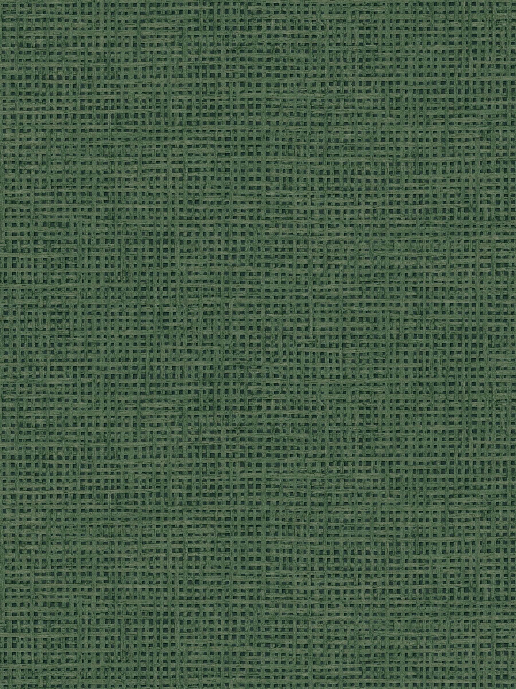 Graham & Brown Palm Rustic Weft A4 sample - British product