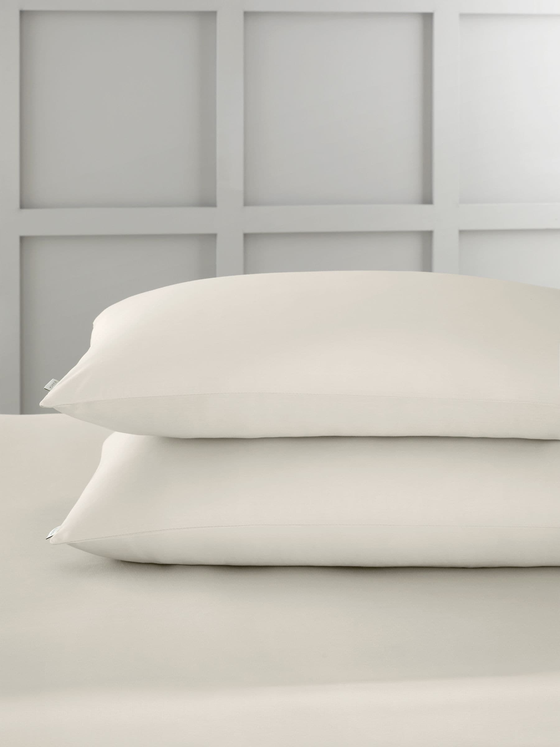 Bianca Set of 2 Blue 400 Thread Count Cotton Sateen Pillowcases