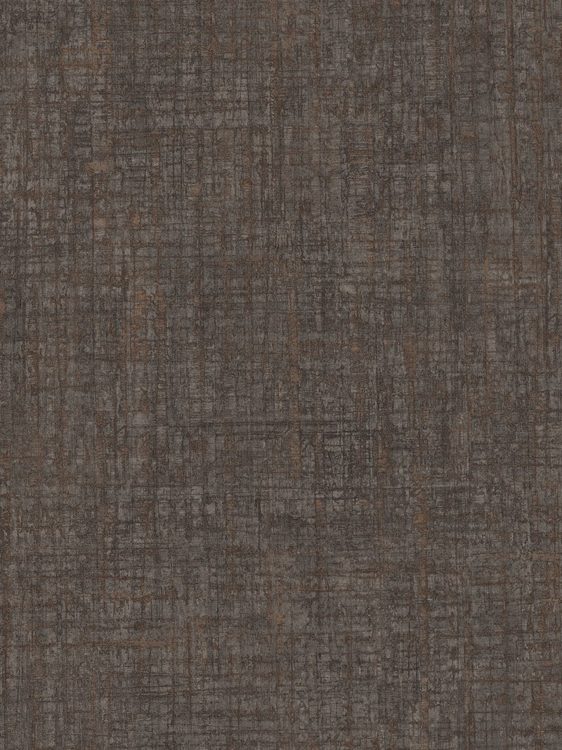 Graham & Brown Chocolate Armando A4 paint sample - British product