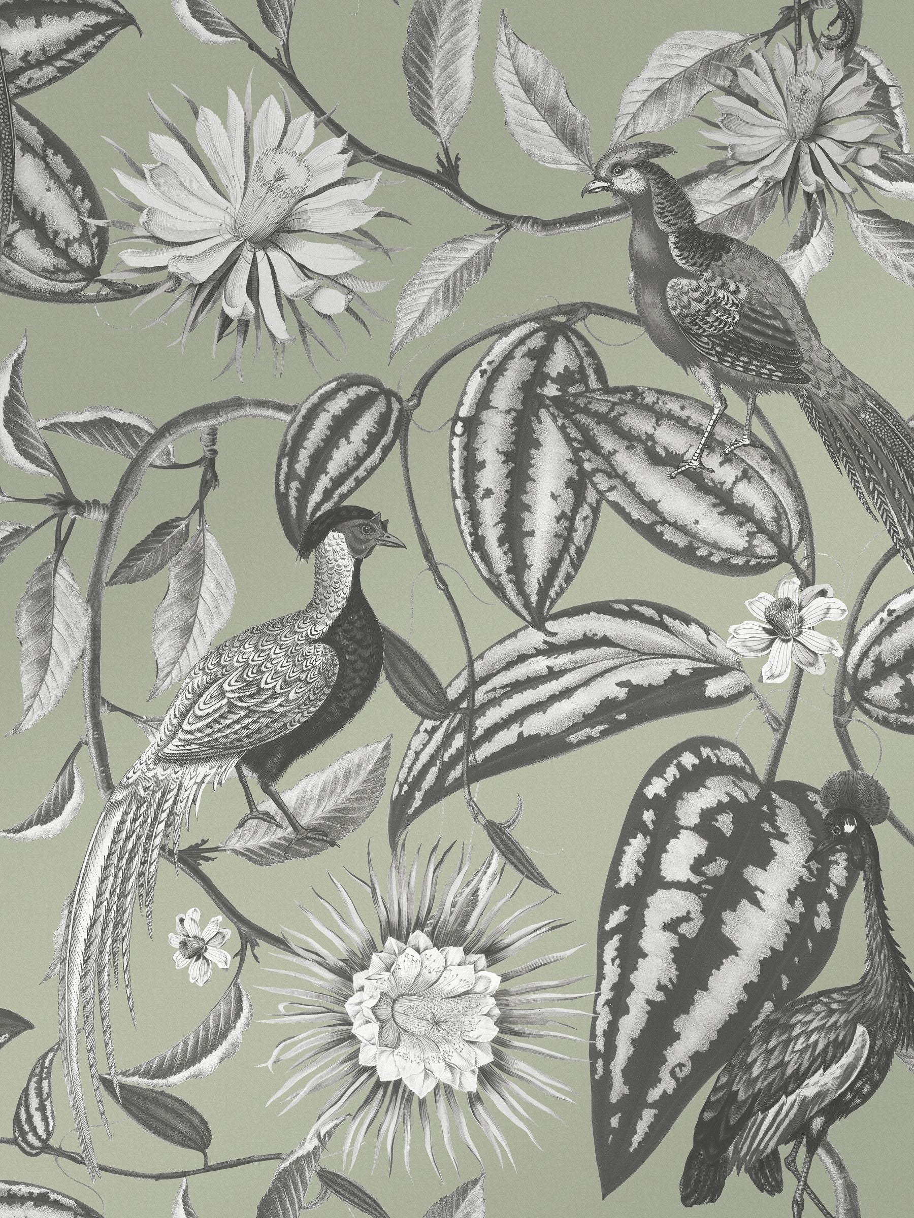 Graham & Brown green Amhersts Garden wallpaper sample, UK version