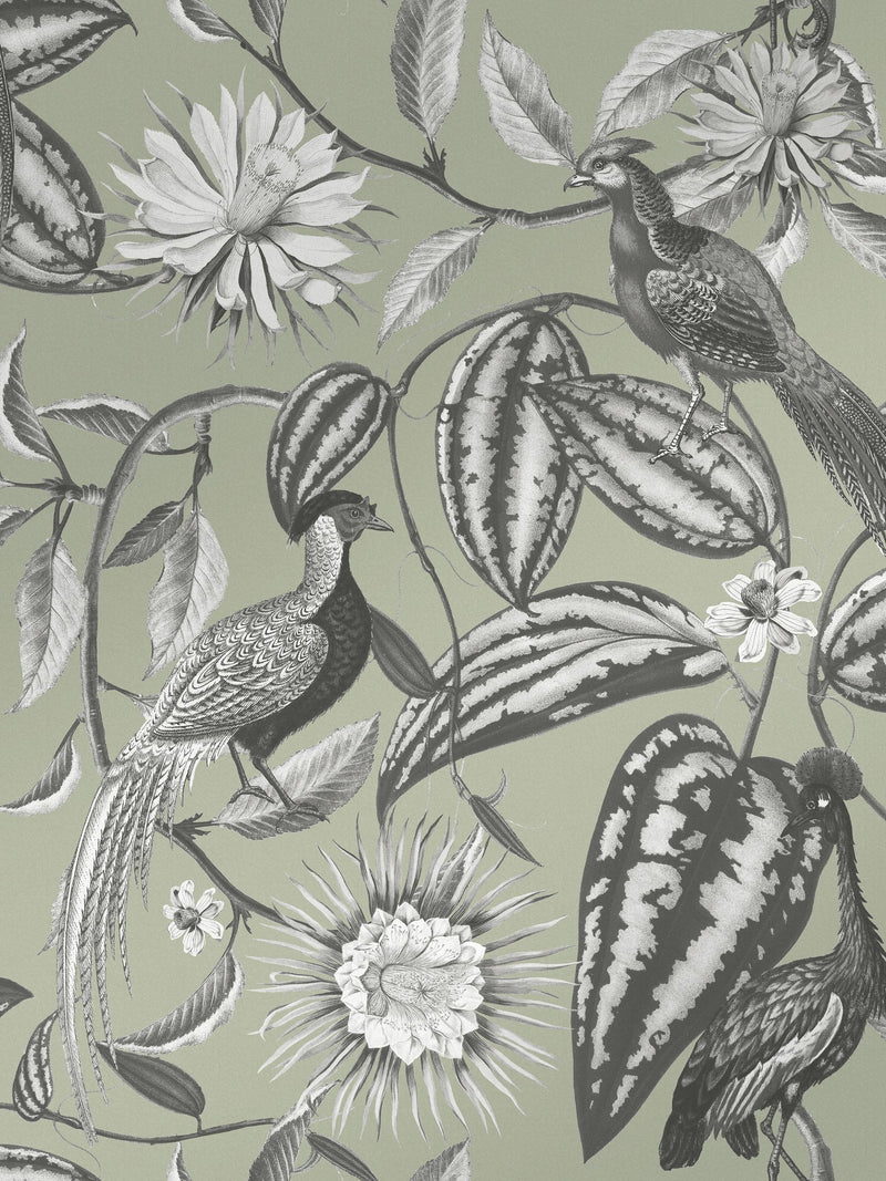 Graham & Brown green Amhersts Garden wallpaper sample, UK version