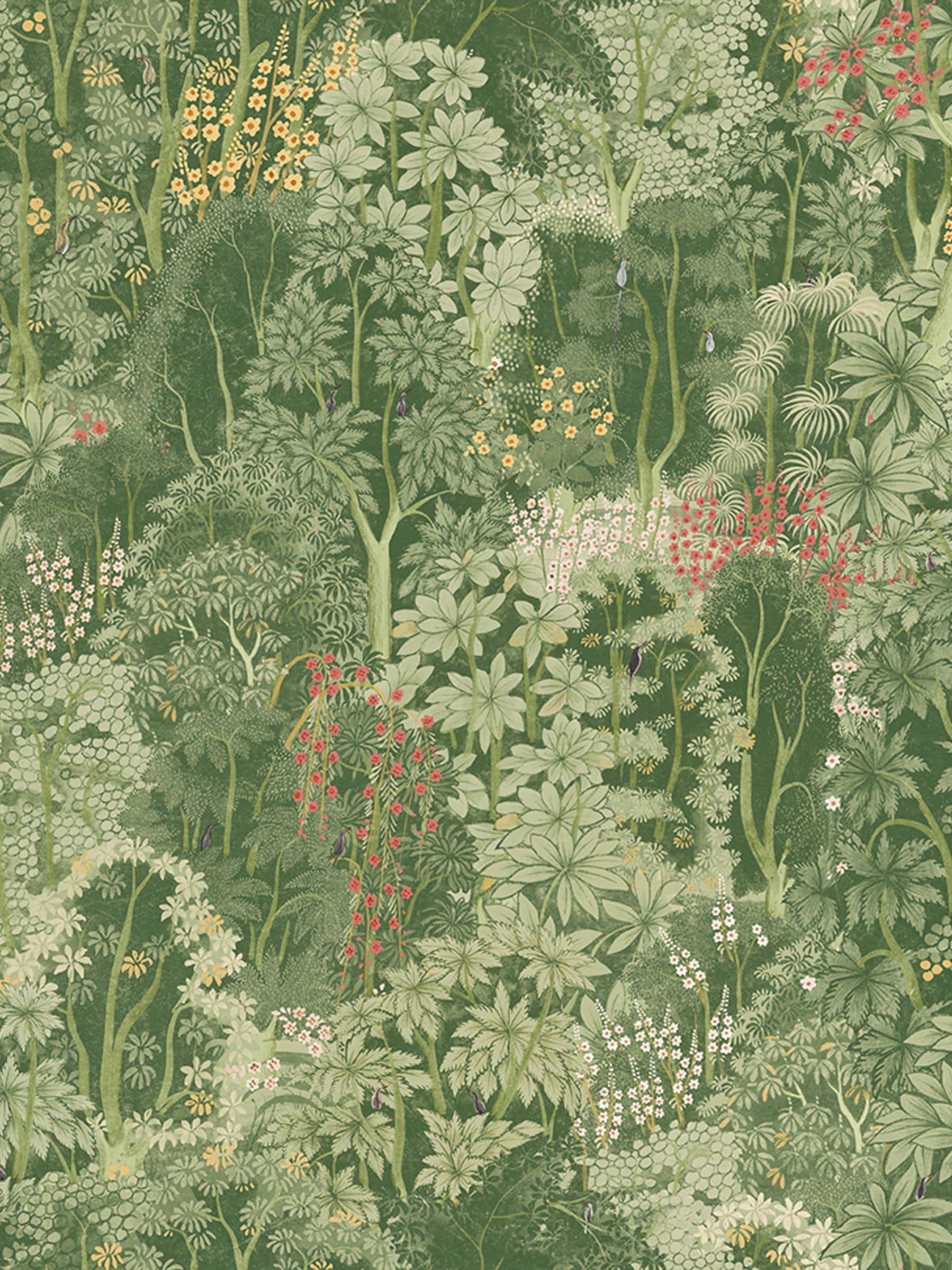 Graham & Brown Green New Eden wallpaper sample, imported from the UK