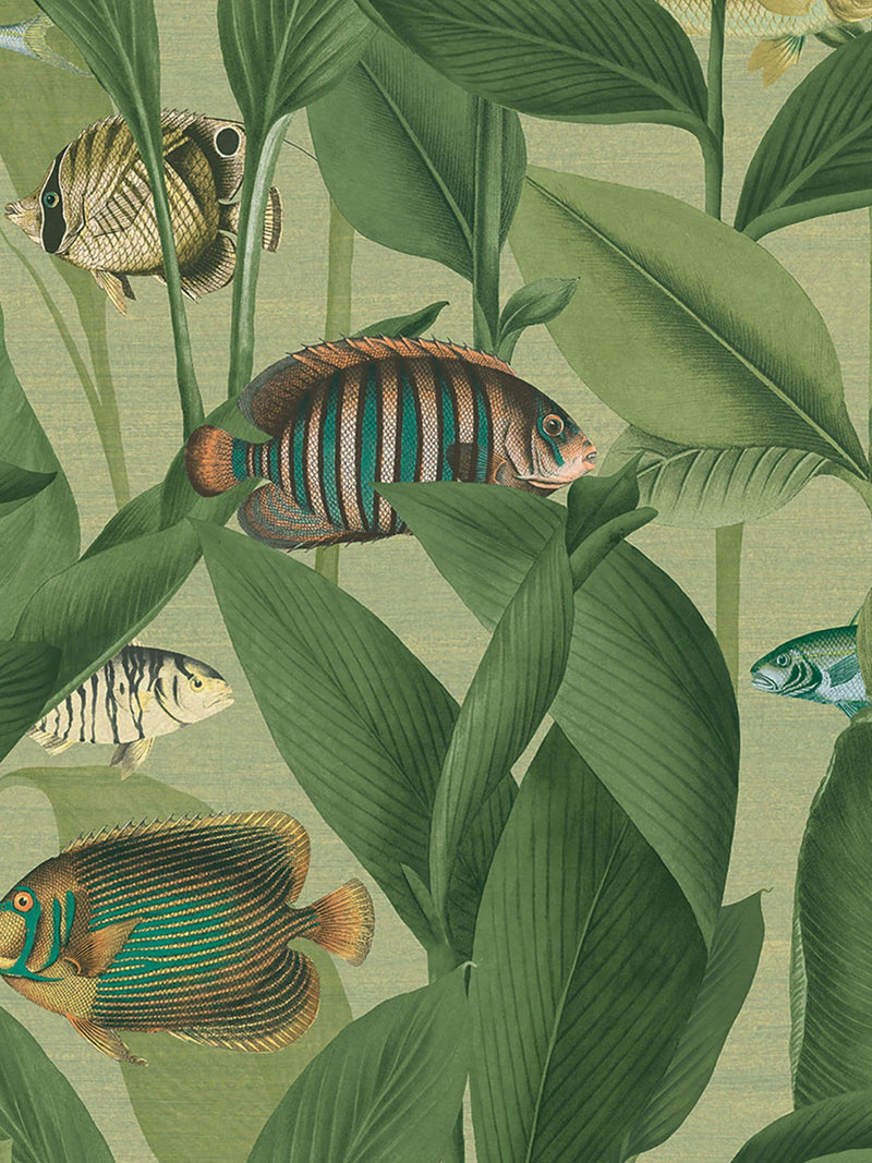 Graham & Brown Green Aquarium wallpaper sample A4 (British brand)