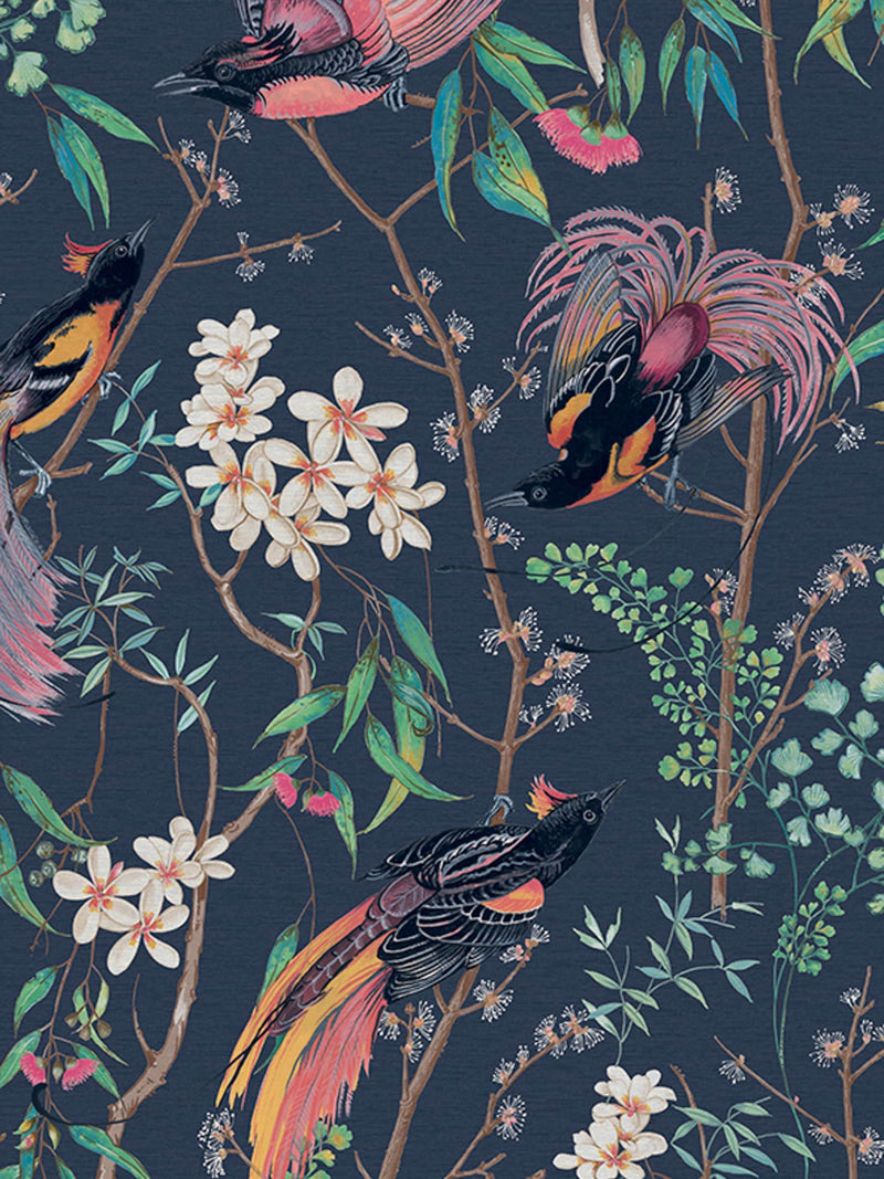 Graham & Brown Blue Clavering Birds Night wallpaper sample, UK version