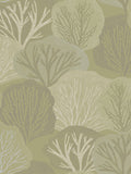 Graham & Brown Green Twyla wallpaper sample, UK version