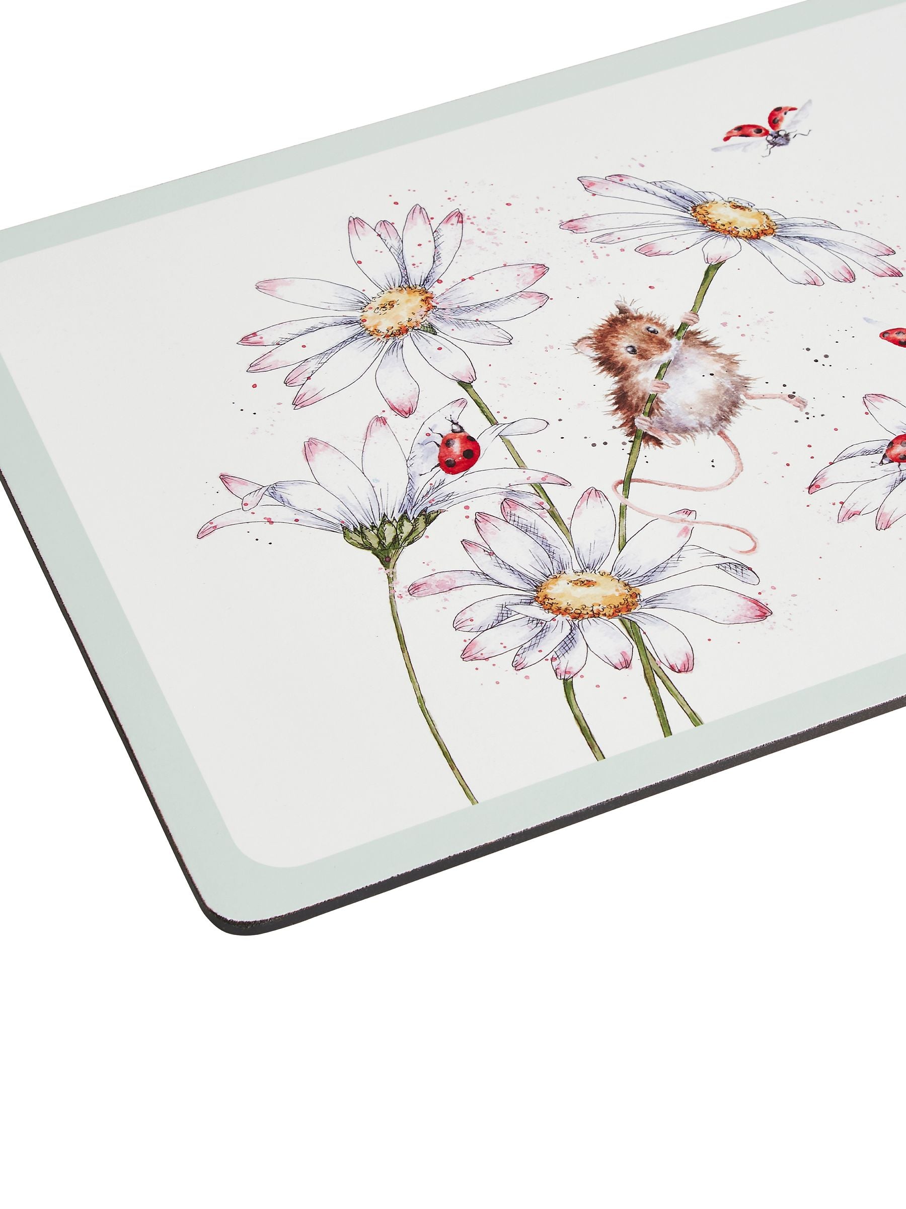 Royal Worcester Wrendale Designs Wildflowers placemats set of 4 40x29cm (British brand)