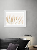 East End Prints white pampas framed print - British product