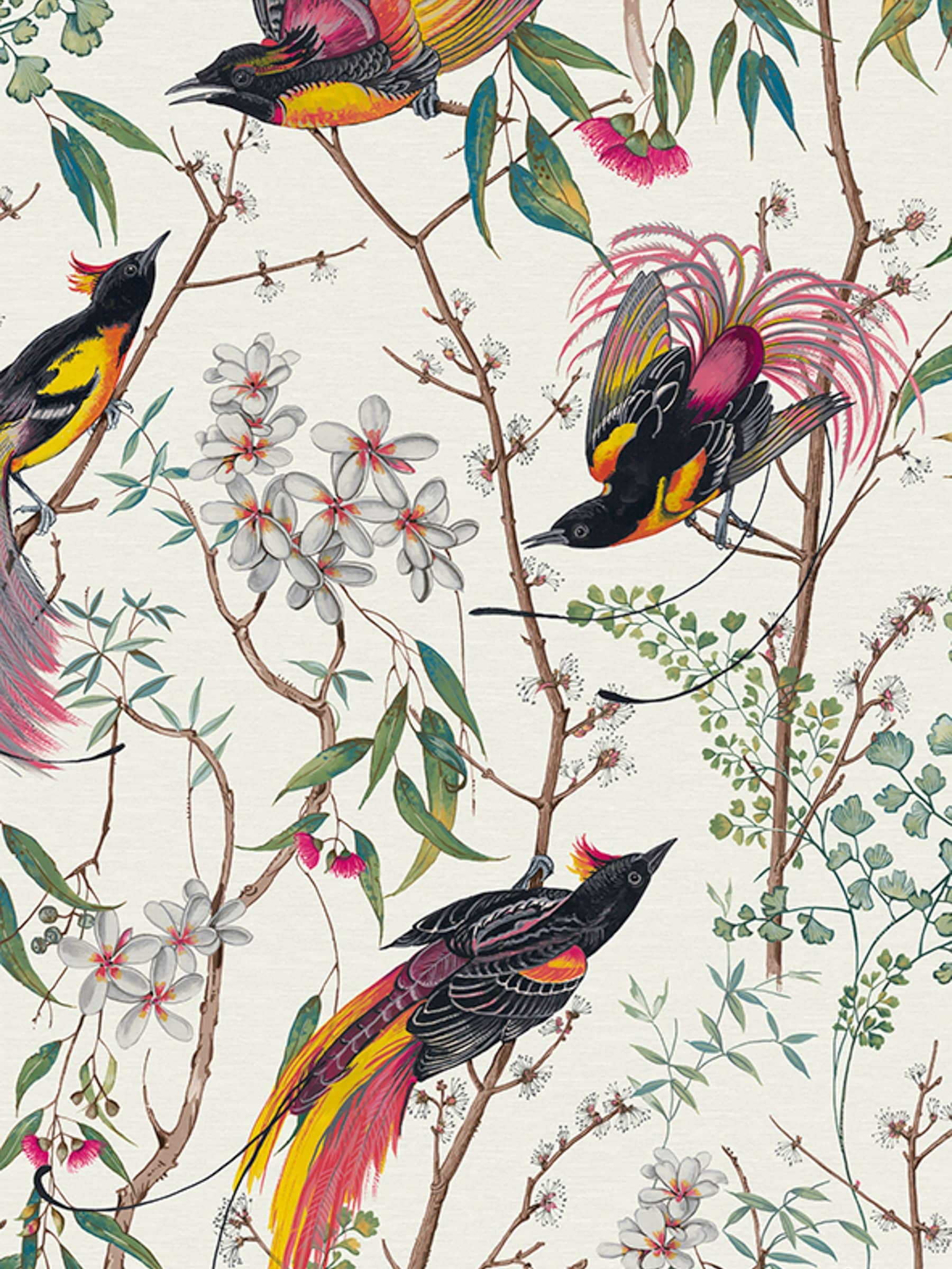 Graham & Brown Clavering Birds Day wallpaper sample, UK version