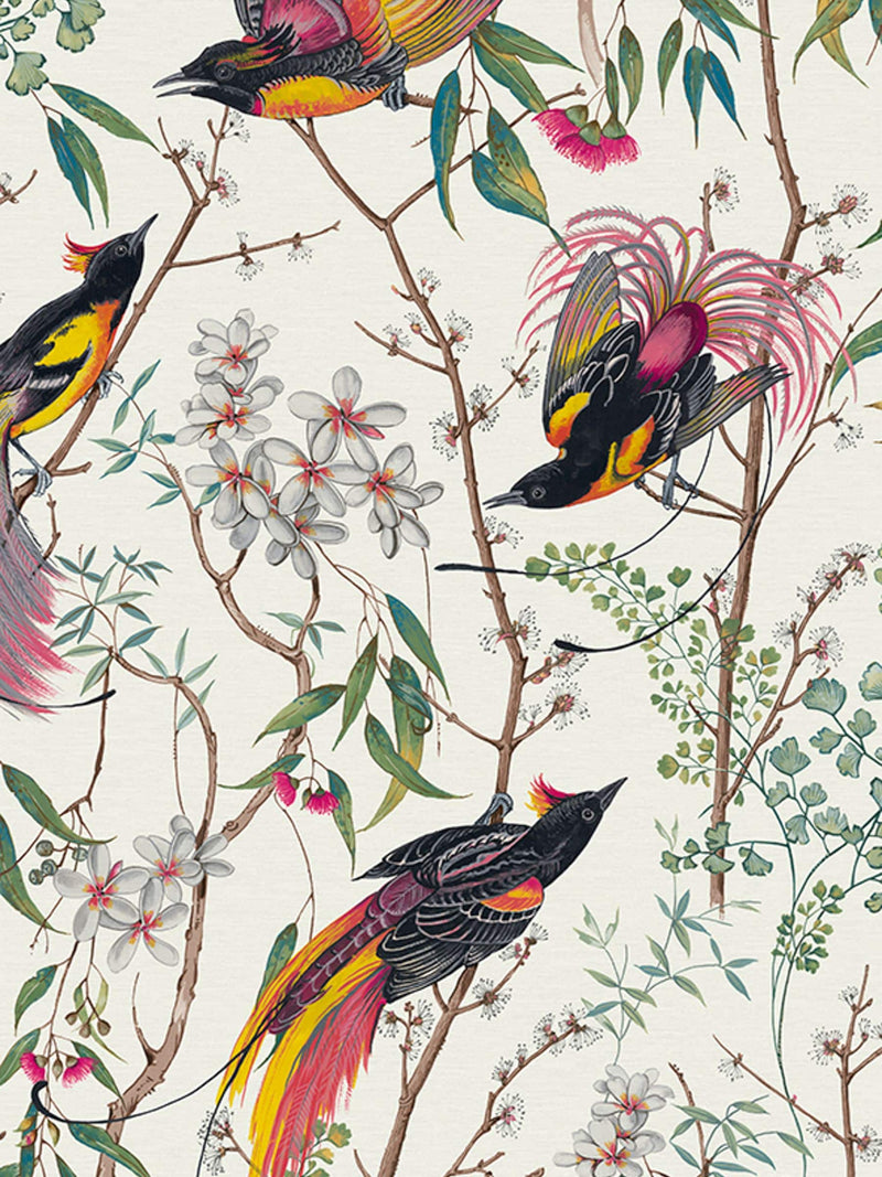 Graham & Brown Clavering Birds Day wallpaper sample, UK version