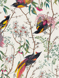Graham & Brown Clavering Birds Day wallpaper sample, UK version
