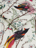 Graham & Brown Clavering Birds Day wallpaper sample, UK version
