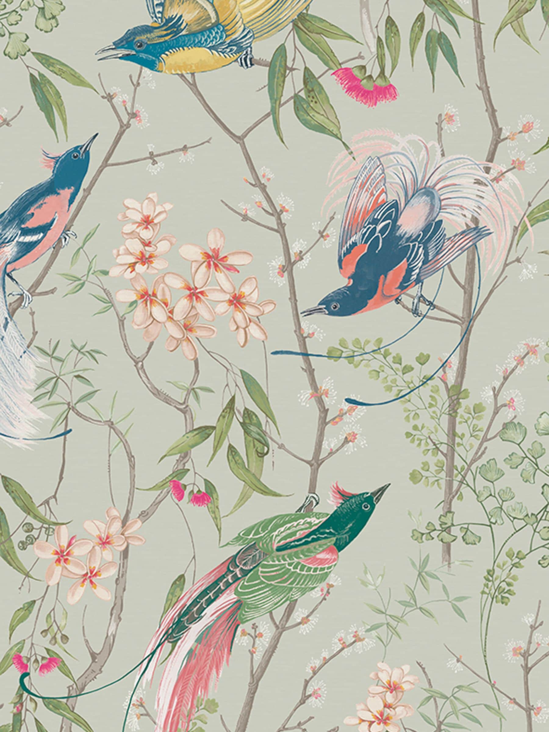 Graham & Brown bird wallpaper sample in green (British brand)