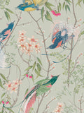Graham & Brown bird wallpaper sample in green (British brand)
