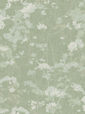 Graham & Brown Calma Flower Press wallpaper sample A4 (British brand)