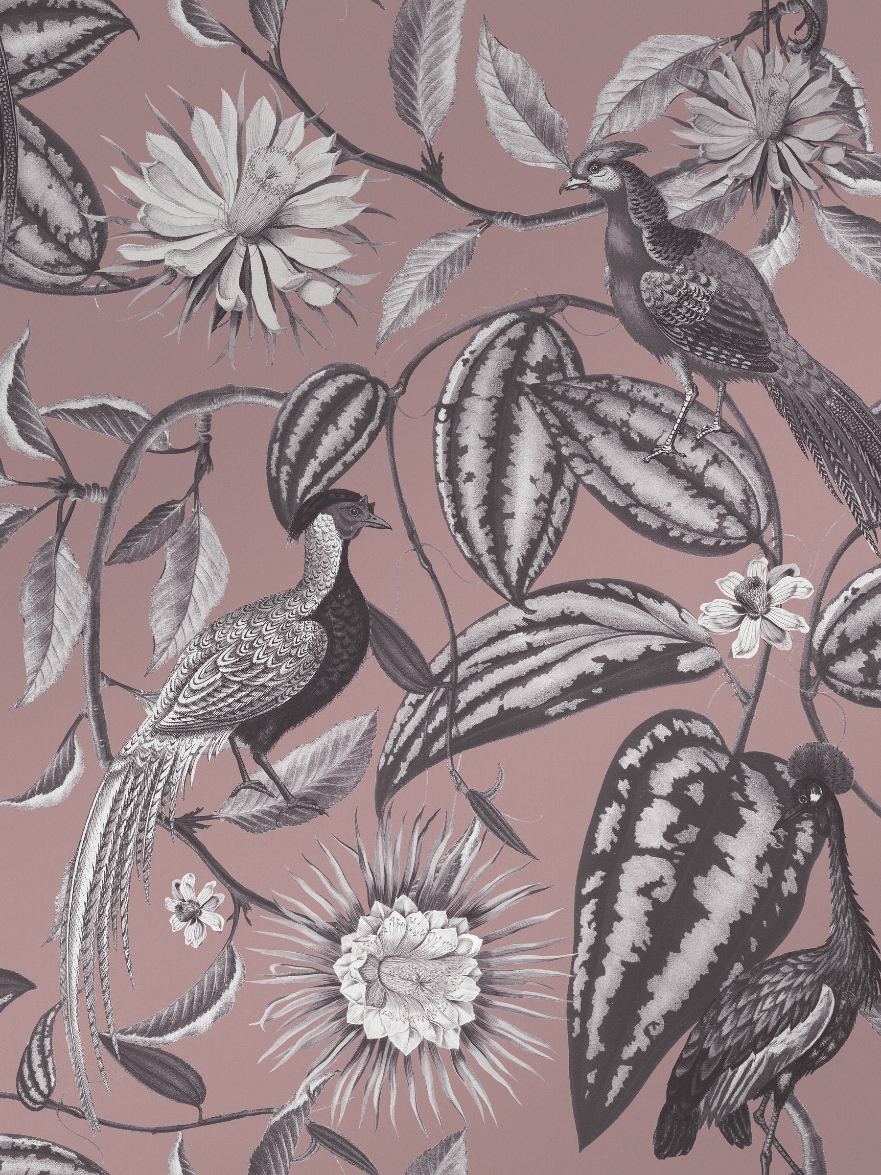 Graham & Brown Amhersts Garden wallpaper sample, imported from the UK