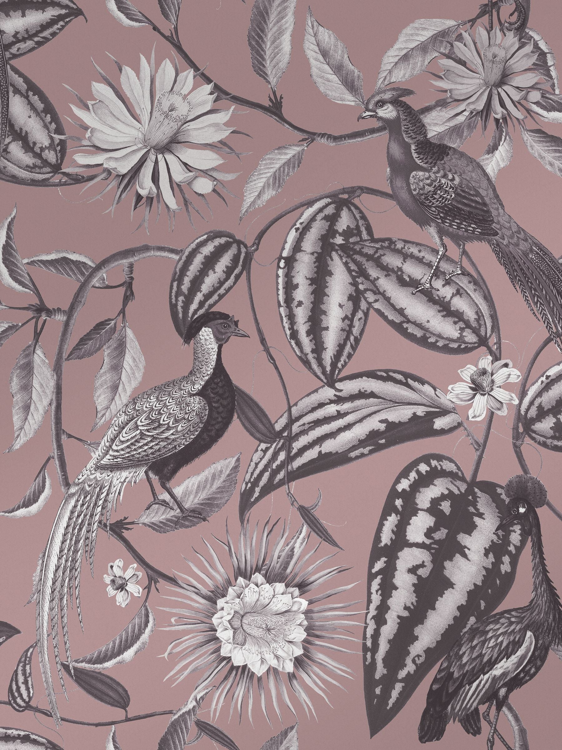 Graham & Brown Amhersts Garden wallpaper sample, imported from the UK