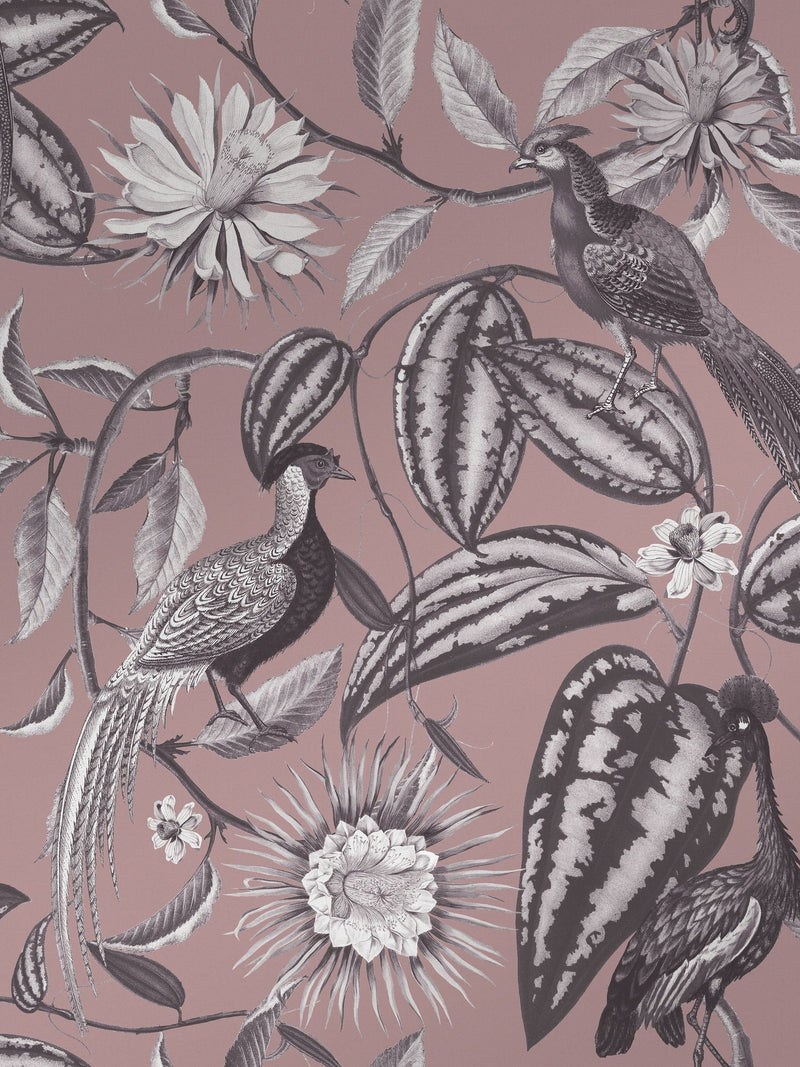 Graham & Brown Amhersts Garden wallpaper sample, imported from the UK