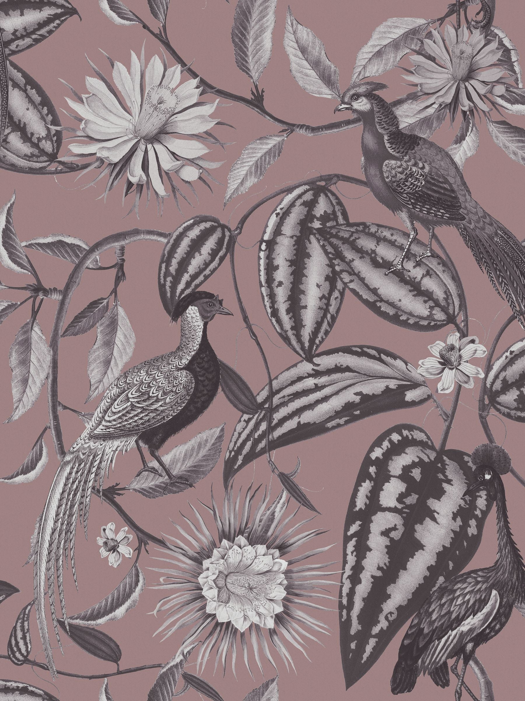 Graham & Brown Amhersts Garden wallpaper sample, imported from the UK