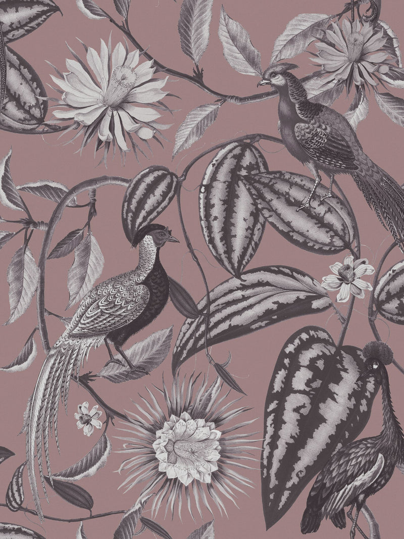 Graham & Brown Amhersts Garden wallpaper sample, imported from the UK