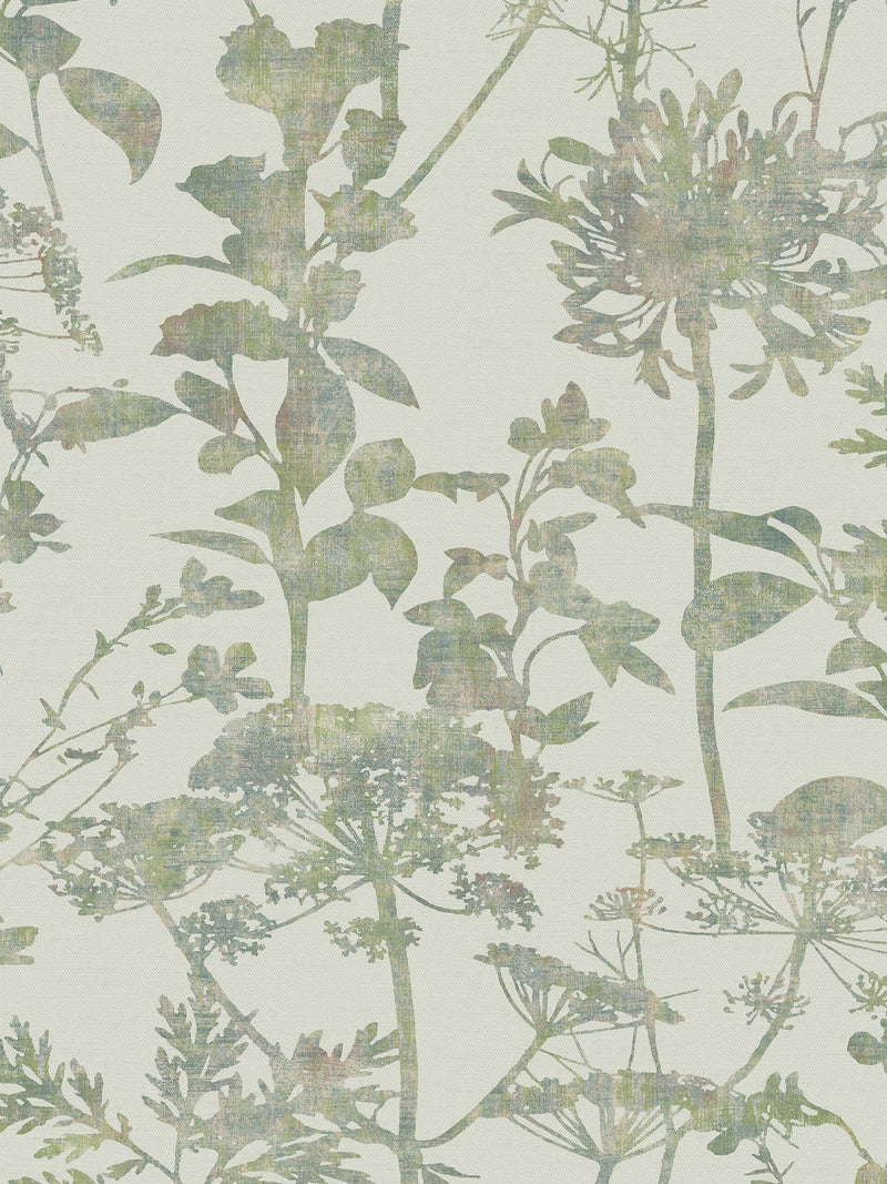 Graham & Brown Esther wallpaper sample Sage colour (British brand)