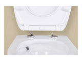 Duroplast toilet seat with soft-close mechanism - British product