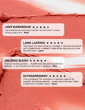 ICONIC London Weichzeichner Rouge Stick 6g - Britisches Produkt