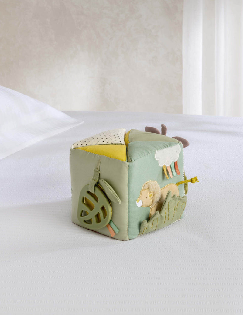 Mamas & Papas Born To Be Wild activity cube - British product