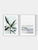 East End Prints Botanical Beach Twin Set Framed Art - British product