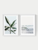 East End Prints Botanical Beach Twin Set Framed Art - British product