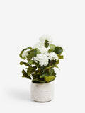 White artificial viburnum plant in country ceramic pot (British brand)