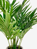 Artificial mini Kentia palm plant in ribbed concrete pot 60cm height, UK version