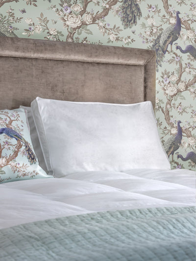Oreiller de luxe blanc en coton 100% moyen pour dormeurs sur le dos Laura Ashley - Acheter en ligne chez McGrocer