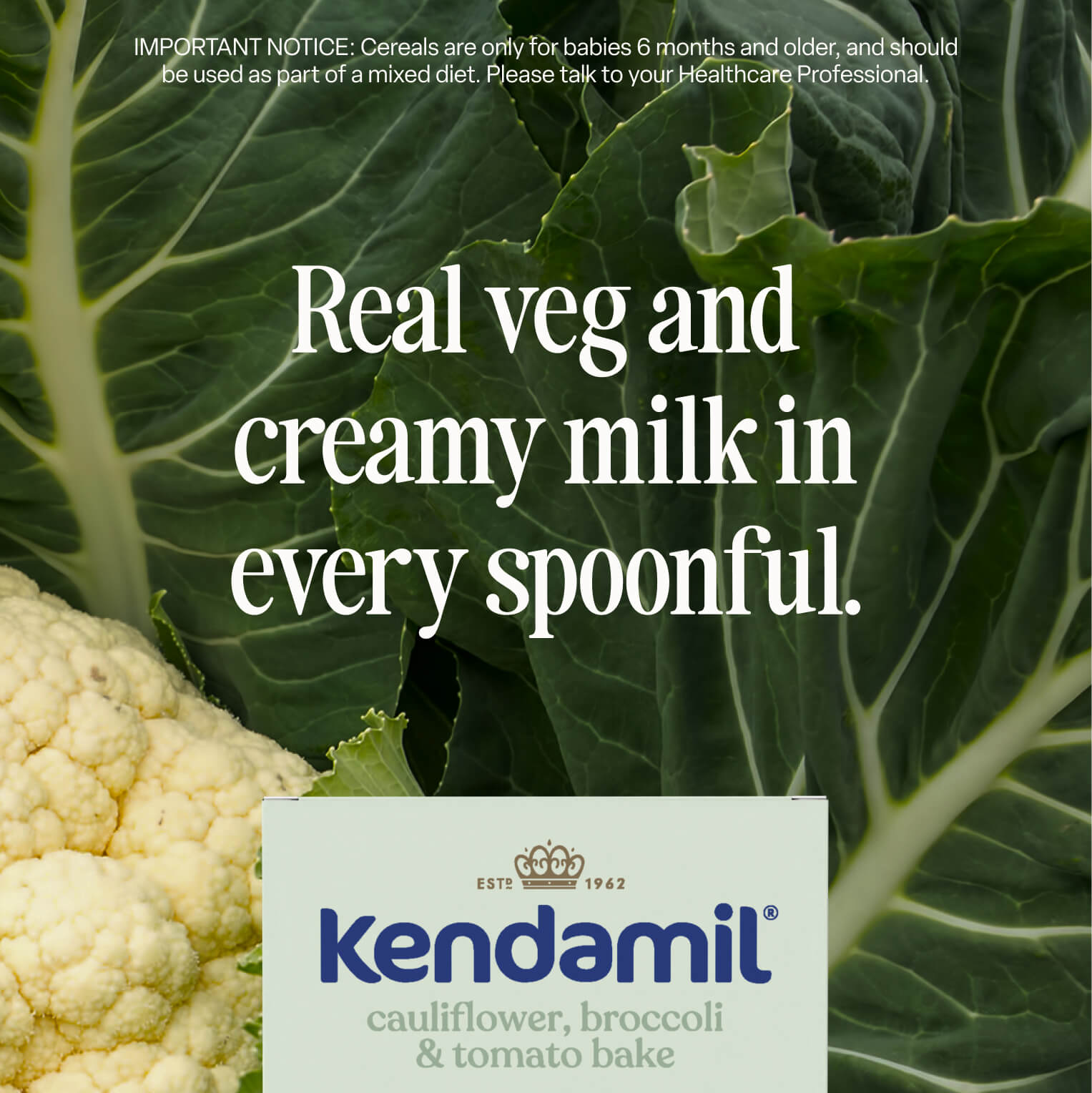 Kendamil cauliflower broccoli tomato bake baby cereal 7 pack (British brand)