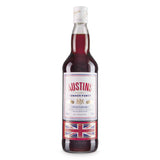 Classic Summer Punch gin and fruit flavour - British product