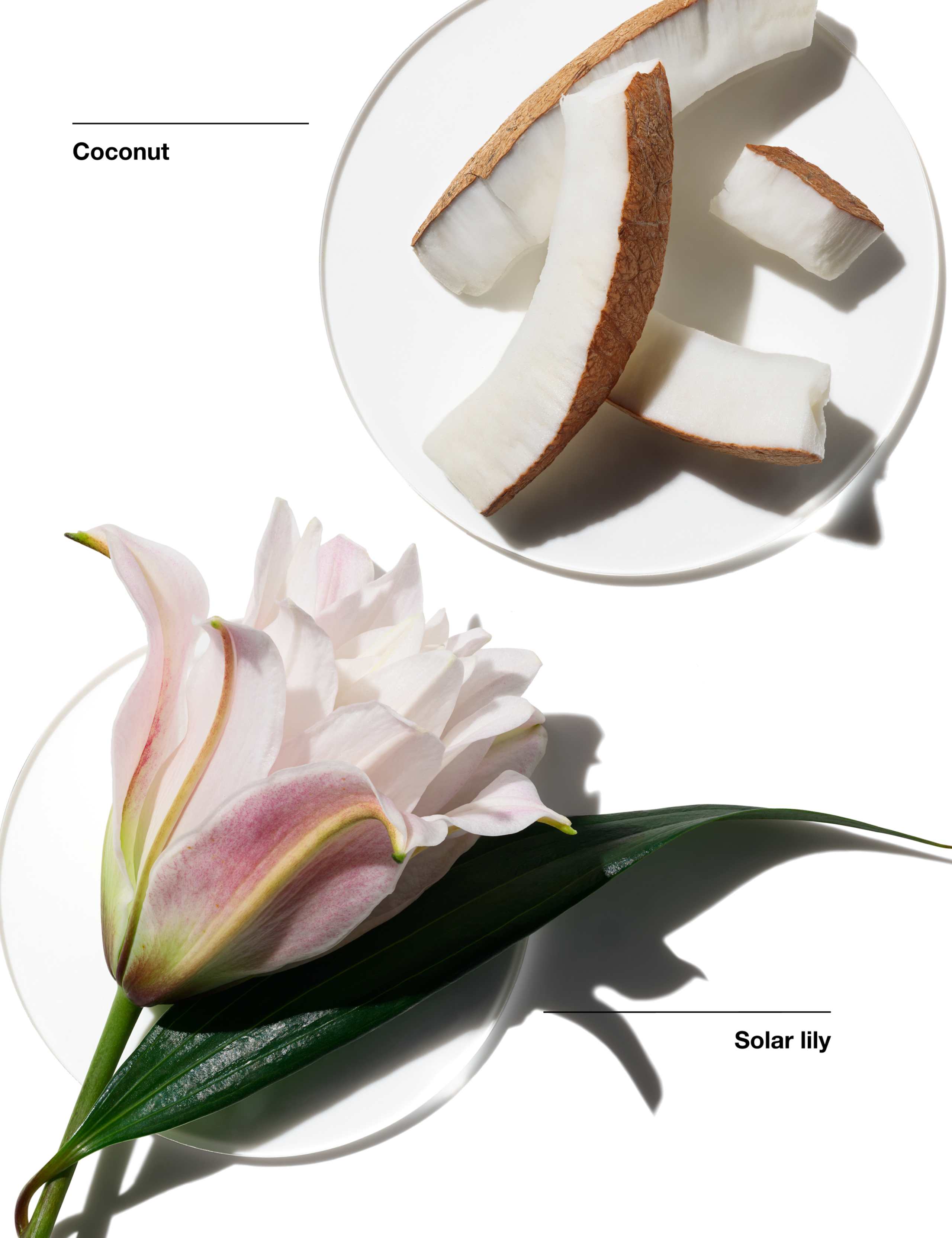 Clinique Lily of the Beach fragrance mist 15ml - British product
