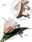 Clinique Lily of the Beach fragrance mist 15ml - British product