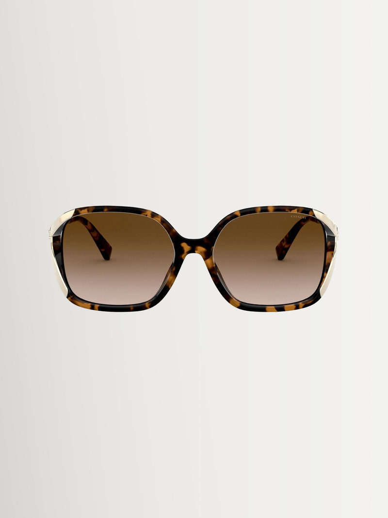 COACH sunglasses Brown L1116 round, UK version