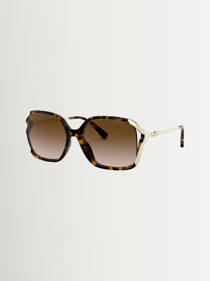 COACH sunglasses Brown L1116 round, UK version