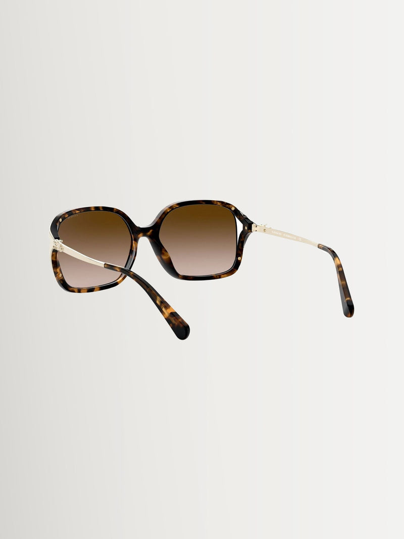 COACH sunglasses Brown L1116 round, UK version