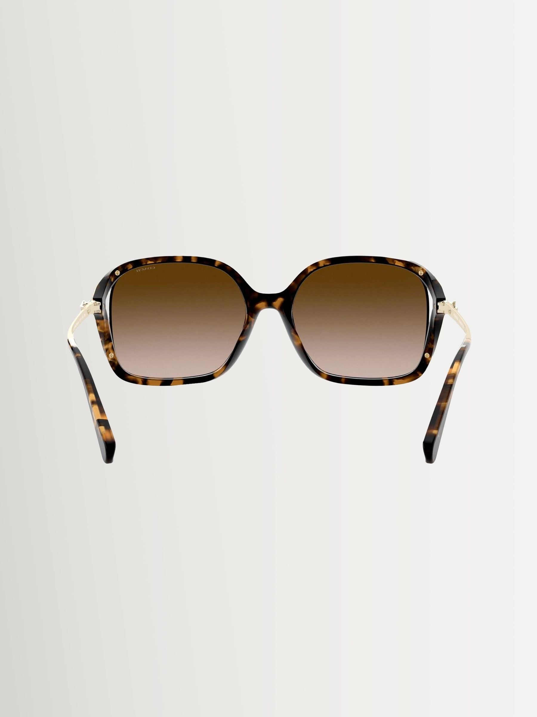 COACH sunglasses Brown L1116 round, UK version