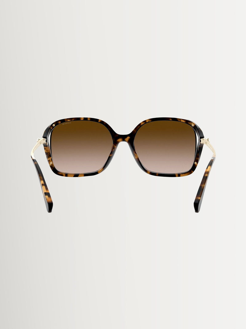 COACH sunglasses Brown L1116 round, UK version