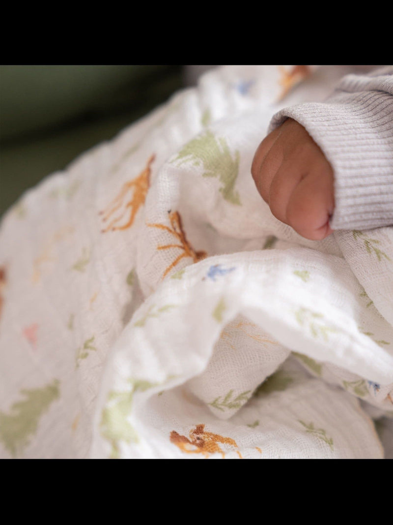 aden + anais muslin blanket animal essentials 4 pack - British product