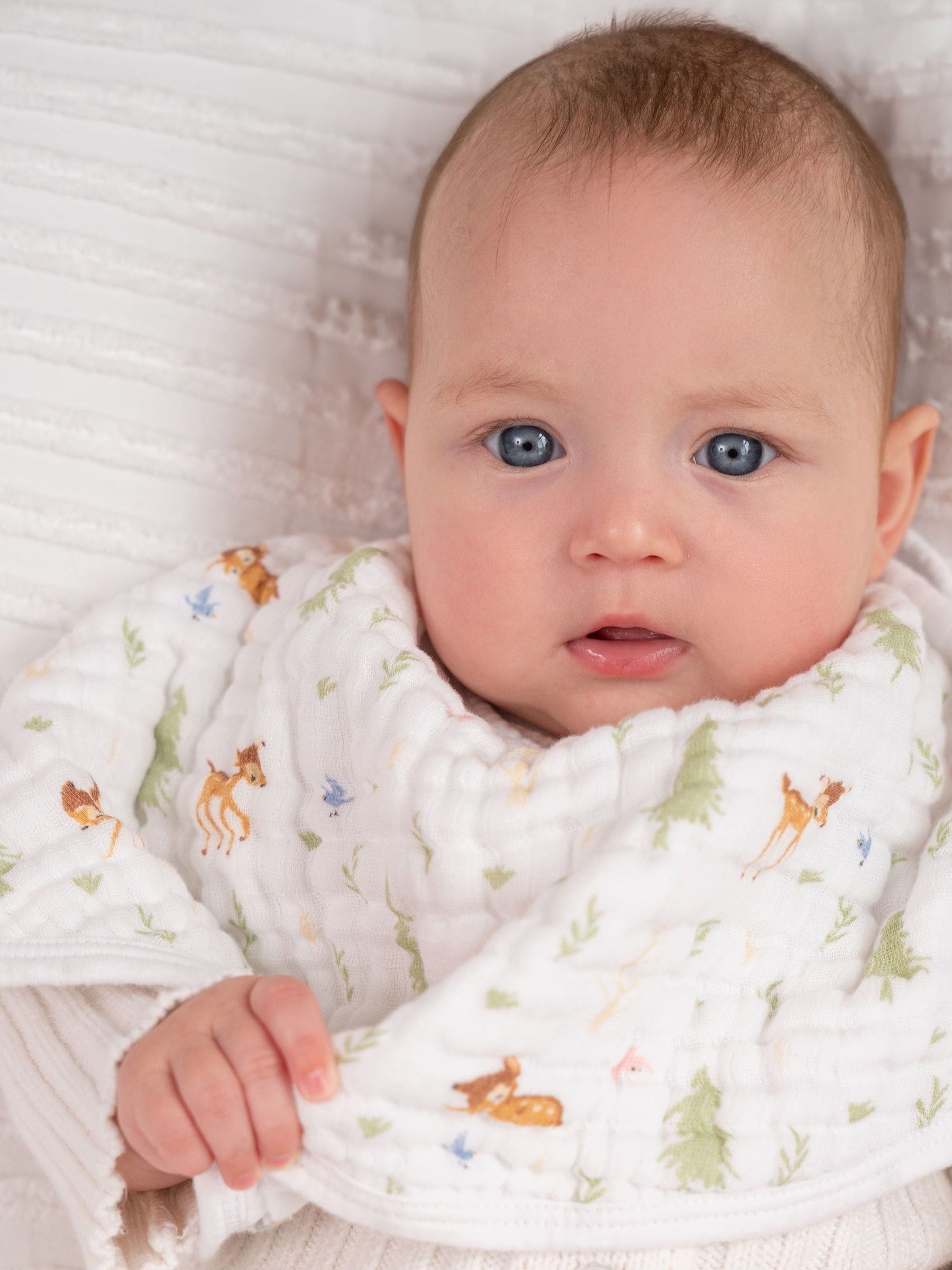 aden + anais Bambi Forest cotton muslin burpy bib, imported from the UK